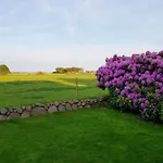 Fiete Sylt